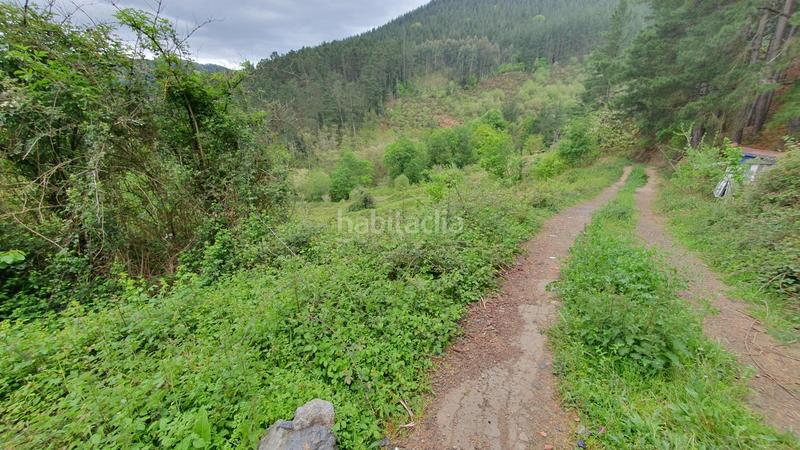 Foto c9ca84bd-b4a8-4e7f-af06-dd0bc9b15bef. Finca rústica a Llodio