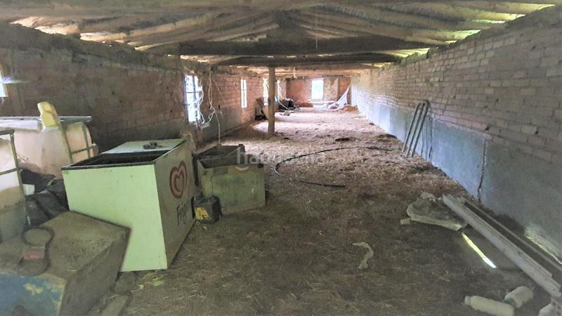 Foto dff1f316-6967-4c8a-ad66-d3a793c0d608. Finca rústica a Llodio