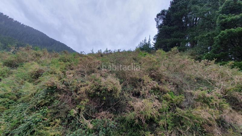 Foto f3c33d8b-da5d-4f6a-9c44-8b1ff82830b9. Finca rústica a Llodio