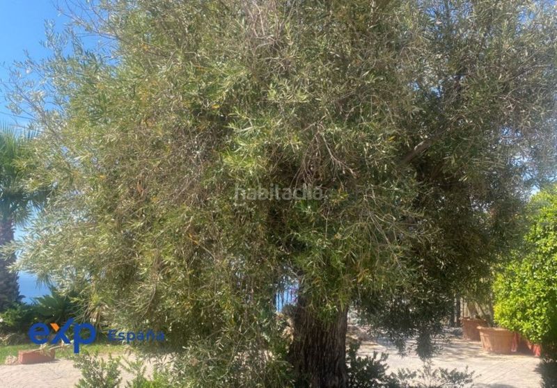 Foto d8c84785-ce73-45ce-99fe-50af32629647. Xalet amb calefacció aparcament piscina a Velilla - Velilla Taramay Almuñécar