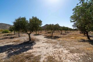 Propriété à Polígono 5 parcela 3 retamares tabernas (almerí 5. Finca de 18 hectáreas en tabernas