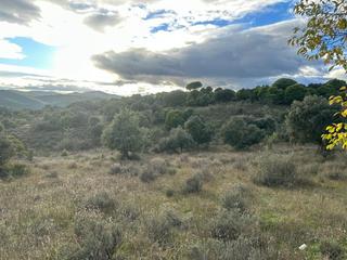 Finca rústica a Navas del Rey. Se venden 8 fincas a solo 40 min de madrid  haz tu oferta!