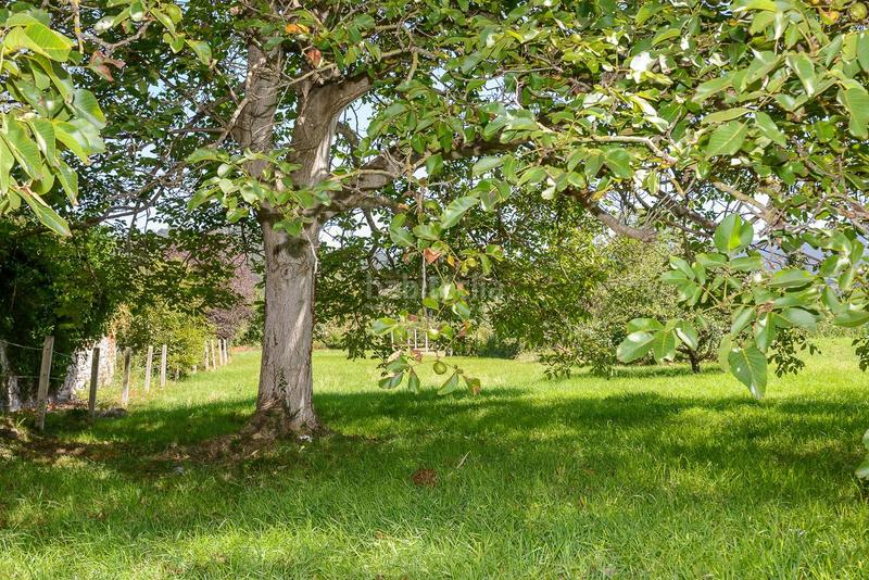 Foto 3ab3eda5-e22d-427c-9023-2249aa591513. Casale in lugar peñaullan 77 in Pravia