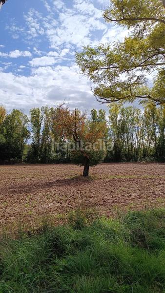 Foto 0ffb2b43-56a6-4a5d-95ba-f022c8872d78. Edifici a Cañizar
