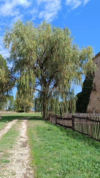 Foto 51b3cfde-6f3e-4c7a-8bb5-97658e7e5b61. Edifici a Cañizar