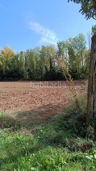 Foto d356f679-fcce-482b-9b44-cfca45fec18d. Edifici a Cañizar