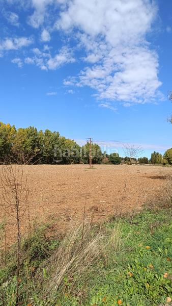 Foto dd824fb1-9c61-4a35-a3a3-c9084c30ddf2. Edifici a Cañizar