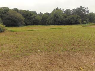 Terreno residencial en Camino bergondo 15165. Finca en venta bergondo