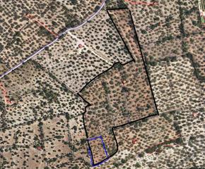 Finca rústica a Roquetes. Bajada de precio 4,6 ha en venta en parellades
