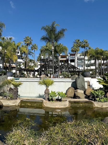 Foto 278f7dd5-c9ec-4b47-90e4-7a0cf5a82ca4. Apartament amb piscina a Divina Pastora Marbella