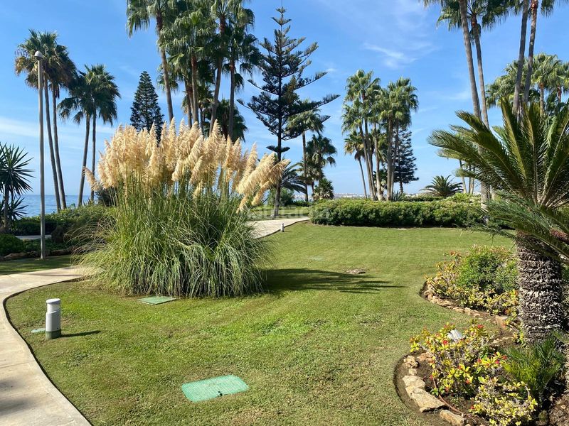 Foto 38e5d720-0bc8-44c4-ac9e-bf6178d615f5. Apartament amb piscina a Divina Pastora Marbella