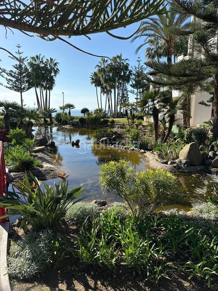 Foto 8359dfc8-658f-4b35-8bce-09cde0ebfbb3. Apartament amb piscina a Divina Pastora Marbella