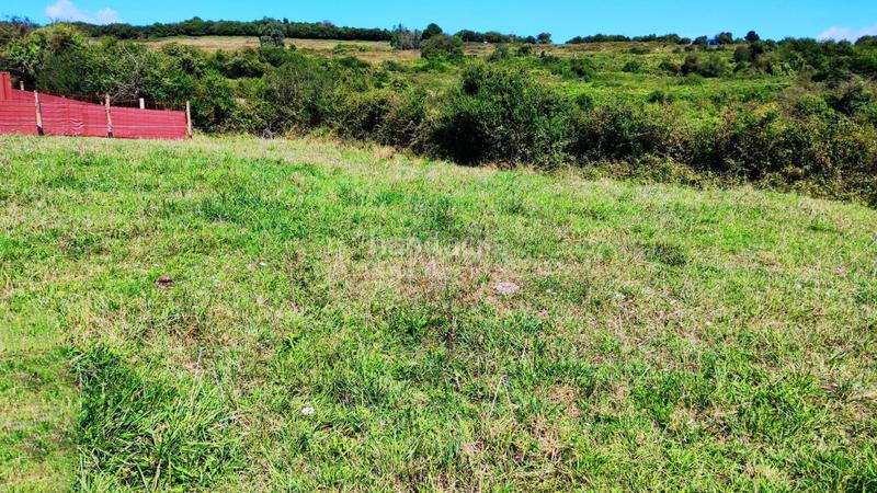 Foto ce263f8a-cba2-4c31-8bab-8d7dc16a6dac. Terrain résidentiel dans Parroquias Norte Siero