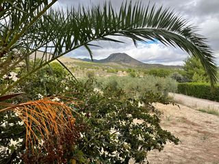 Masia a Camino vial-5(el llano). Finca rústica en caravaca de la cruz con más de 61.000 m2 en un