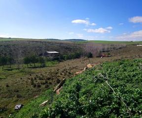 Terreny residencial  Carretera sector ur-3. Finca de 10 ha frente a hotel don fadrique