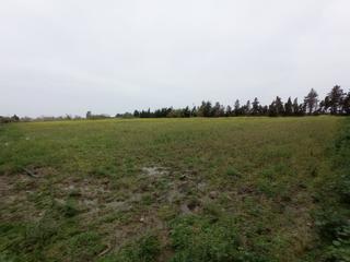 Terreny residencial en Chipiona Norte. Parcela rustica de 2.500 metros en venta en chipiona