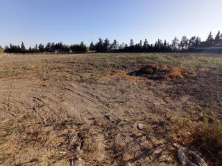 Terreny residencial a Chipiona Norte. Parcela rustica de 2.500 m2 en venta en chipiona