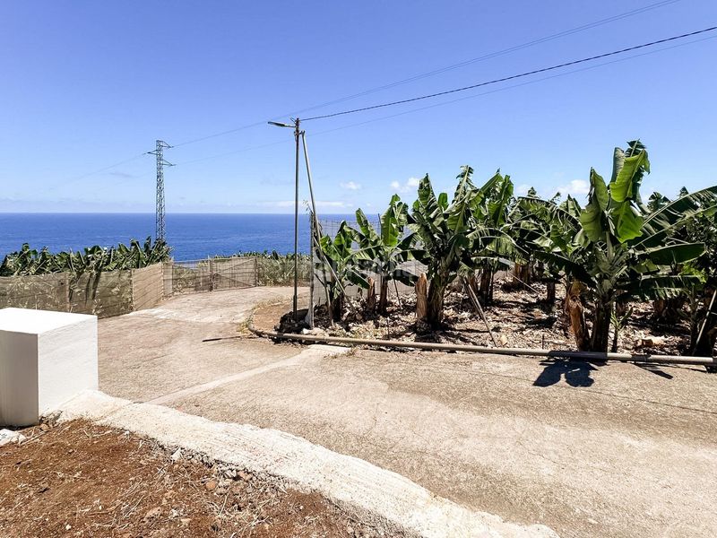 Foto 2768c729-8175-4147-9f53-5b746b6b10dc. Lloguer pis amb aparcament a Barlovento