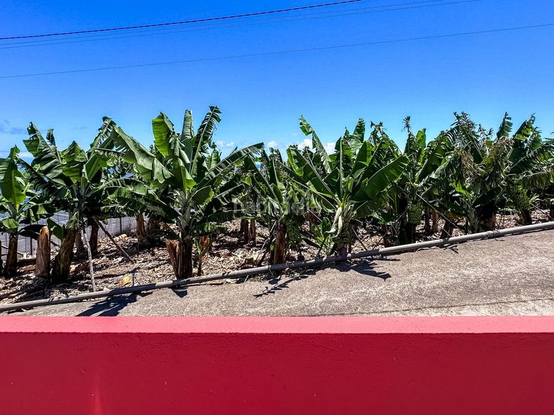 Foto ab7c16da-9373-4611-bdab-477e1955b943. Rent flat with parking in Barlovento