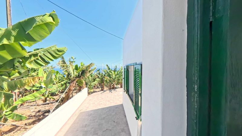 Foto 9ccc927e-15d9-4947-9c1c-def57564cb02. Rent flat with parking in Barlovento