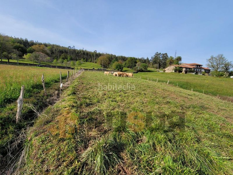 Foto bd44a32b-687f-4fc5-92de-4f8d08629984. Terreny residencial a Vioño Piélagos