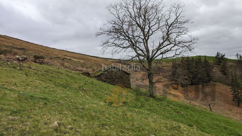 Foto 01e636b2-acd1-4e2a-a62c-8b0cce8c3da3. Masia a Selaya