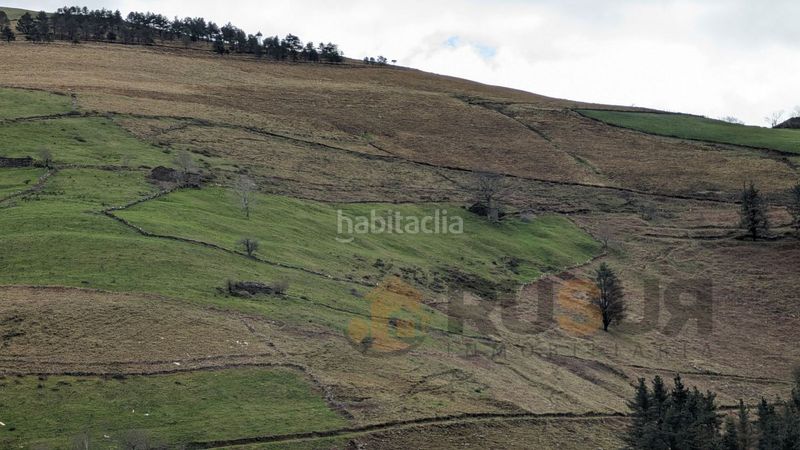 Foto 26640668-42f0-485b-a6bc-b69a948d29c1. Masia a Selaya