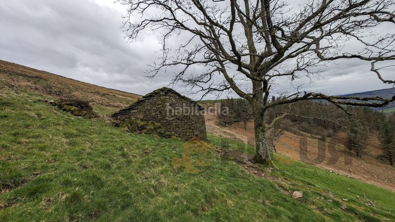 Foto 3c67e3c6-6c1c-4520-bc27-064a783a4cdb. Masia a Selaya