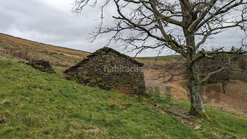 Foto 4cecf6e3-e071-4469-8b44-6370aa84e429. Masia a Selaya