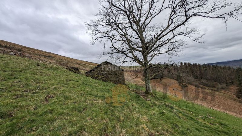 Foto 93cf125d-1b96-455d-82c9-348fdd51ff45. Masia a Selaya