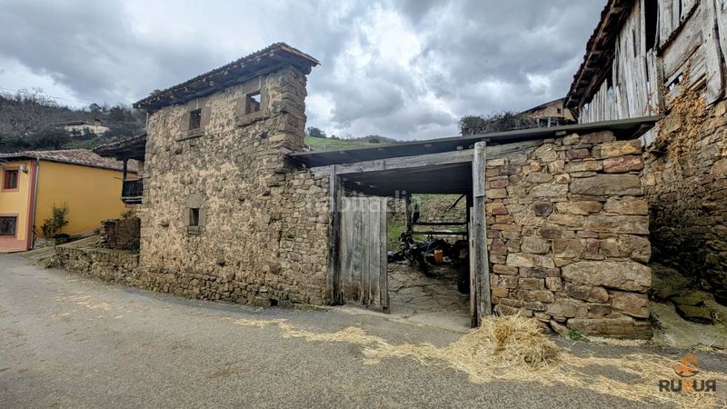 Foto 19f73140-3ba8-445d-88a9-ab7899486af7. Mas dans torices 37 dans Cabezón de Liébana