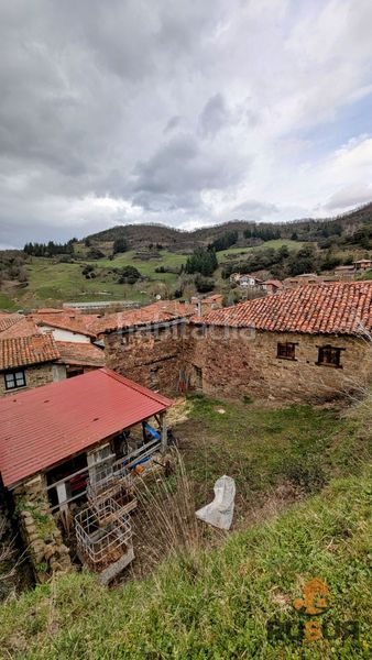 Foto f288bdf6-8f1a-451b-b4e4-ee73ddafb9d2. Mas dans torices 37 dans Cabezón de Liébana