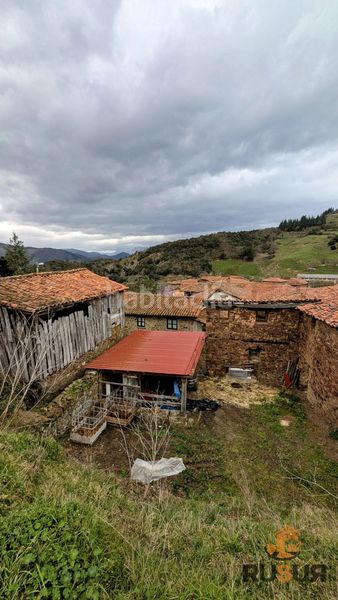 Foto fcf8afc7-c9c9-4c0a-b721-8692a11358d3. Mas dans torices 37 dans Cabezón de Liébana