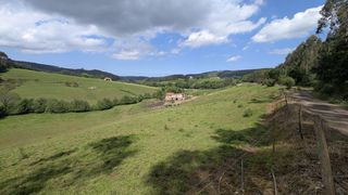 Masia  Rias (las) 9. Casa rural en venta en renedo, 4 dormitorios.