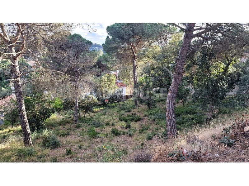 Foto ab0d4c68-55ec-4535-9e7d-ca0a905f908d. Terreny residencial a calle alzina 36 a Aiguaviva Parc Vidreres