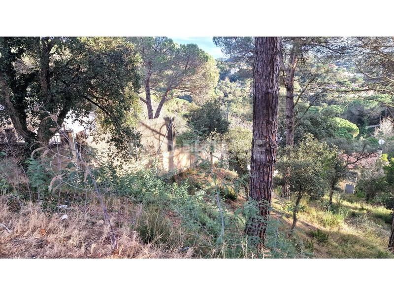 Foto dd8cfddd-b675-474a-a48f-358190ac7bf9. Terreny residencial a calle alzina 36 a Aiguaviva Parc Vidreres