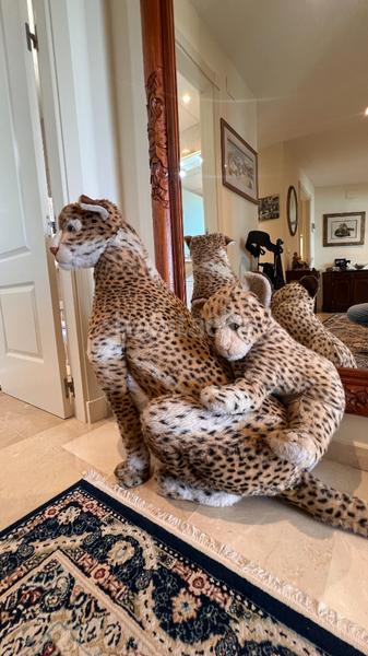 Foto acf92237-7e89-4524-a829-08827d0b0423. Attique dans avenida dEl Peñoncillo 6 dans El Peñoncillo Torrox