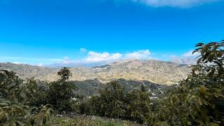 Finca rústica a Cómpeta. Parcela rústica en venta en la rábita – carretera cómpeta-torrox