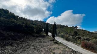 Finca rústica a Cómpeta. Parcela rústica en venta en la rábita – carretera cómpeta-torrox