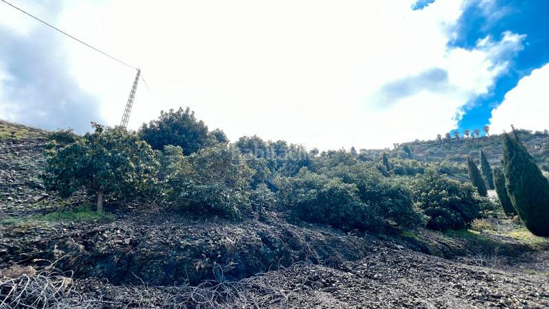 Foto d2e96e41-9bfc-47a6-b851-6c1e9f39cdd4. Fondo rustico in Cómpeta