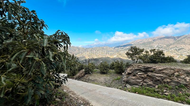 Foto ed68c16a-542b-41fa-ada6-f3956927de98. Fondo rustico in Cómpeta