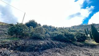 Finca rústica a Cómpeta. Parcela rústica en venta en la rábita – carretera cómpeta-torrox