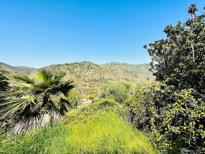 Foto fe4025e4-ec8c-4e46-b25f-5773098ff74f. Chalet  independiente en venta en Torrox pueblo Torrox