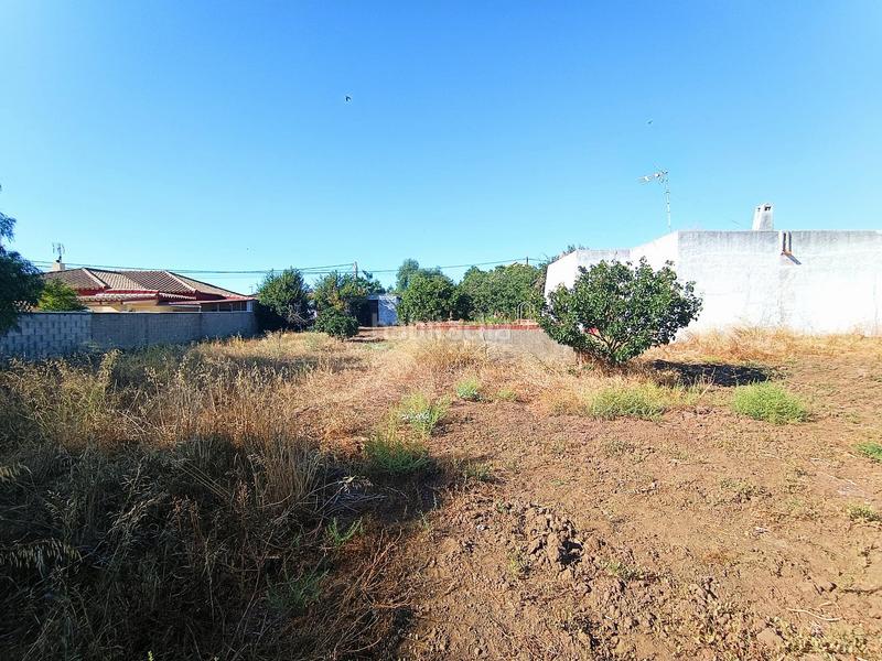 Foto 0162647c-4a0b-44ea-908c-d0a8cf612738. Maison dans Las Lagunas - Campano Chiclana de la Frontera