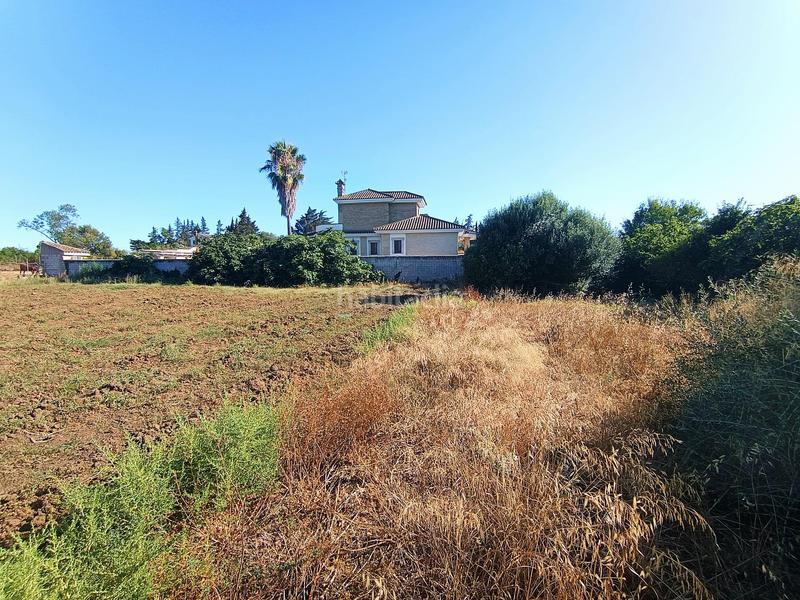 Foto 0774d51b-1e2e-435d-9e52-f68607743921. Maison dans Las Lagunas - Campano Chiclana de la Frontera