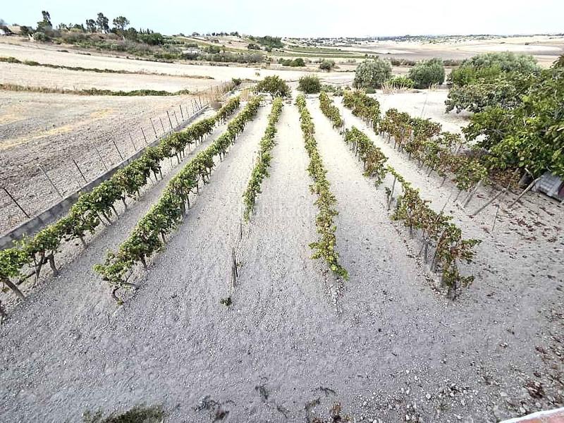 Foto 06d65ded-82fe-4bc0-9313-b334816df48b. Terrain résidentiel dans Los Franceses - La Vega Chiclana de la Frontera