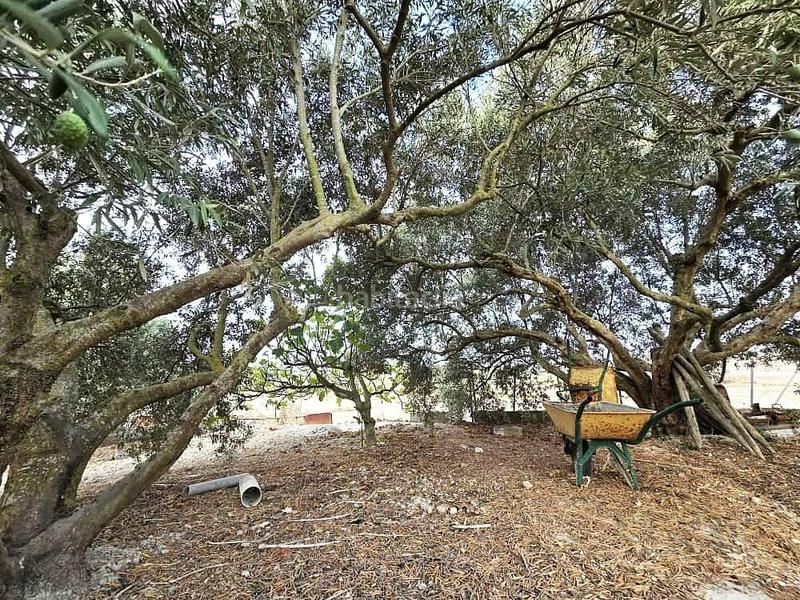 Foto 0f2028a5-5b31-444a-98df-a9580fb618dd. Terrain résidentiel dans Los Franceses - La Vega Chiclana de la Frontera