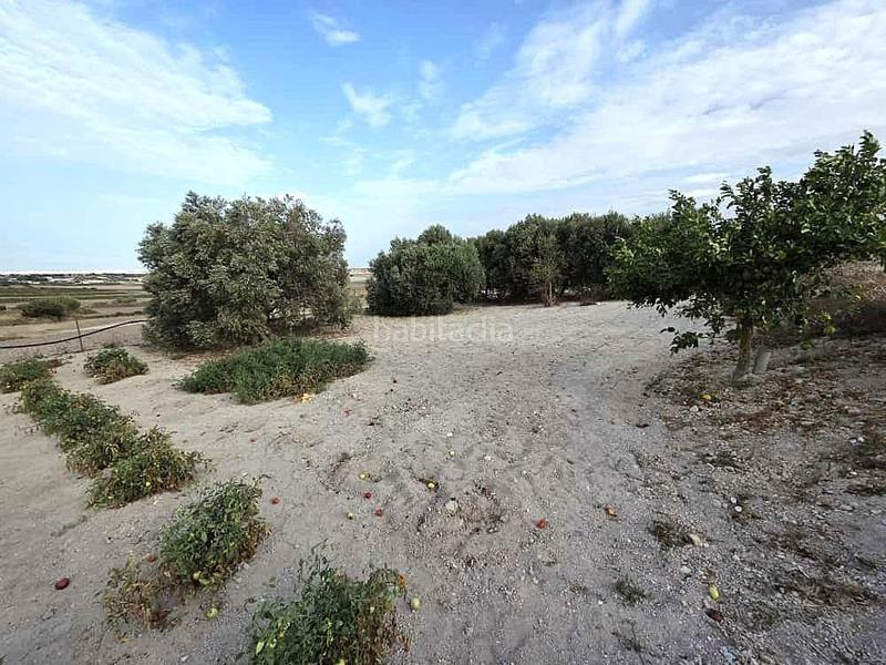 Foto 152f927a-fe25-4ac1-a95d-8fe14489a4f9. Terrain résidentiel dans Los Franceses - La Vega Chiclana de la Frontera