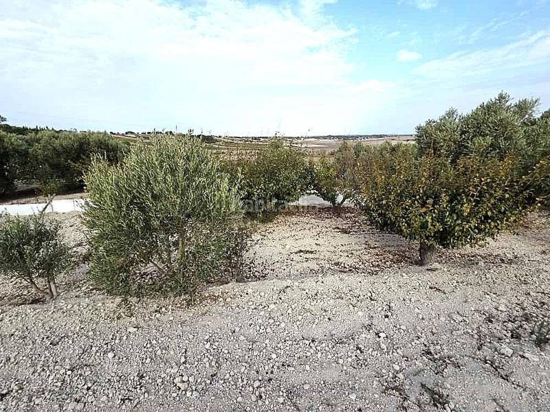 Foto 1f6663a9-7e5c-4e75-aab2-a9c2eb03efe8. Terrain résidentiel dans Los Franceses - La Vega Chiclana de la Frontera