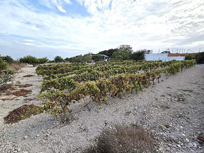 Foto 27693df1-421c-4bdf-9c39-b6bc3d5794c7. Terrain résidentiel dans Los Franceses - La Vega Chiclana de la Frontera